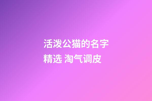 活泼公猫的名字精选 淘气调皮